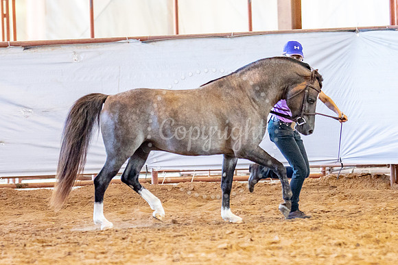 KB2_6289