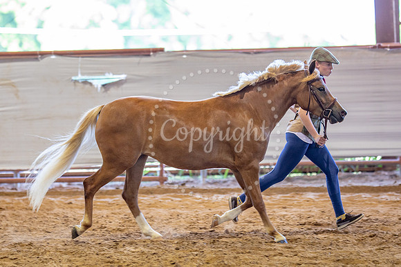 KB2_5611