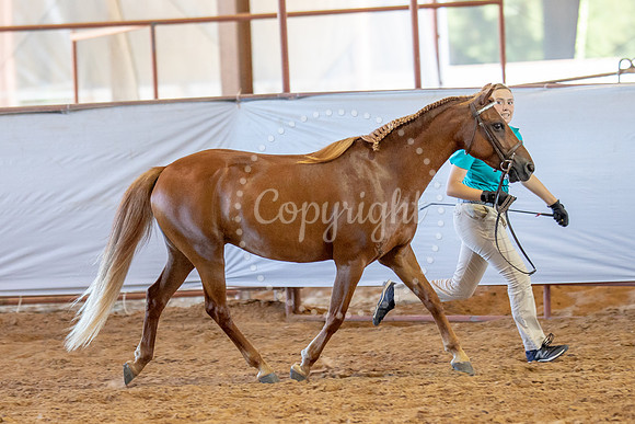 KB2_5921