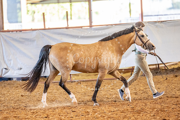 KB2_6898