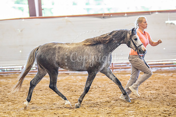 KB2_5429
