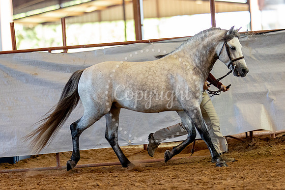 KB2_6264
