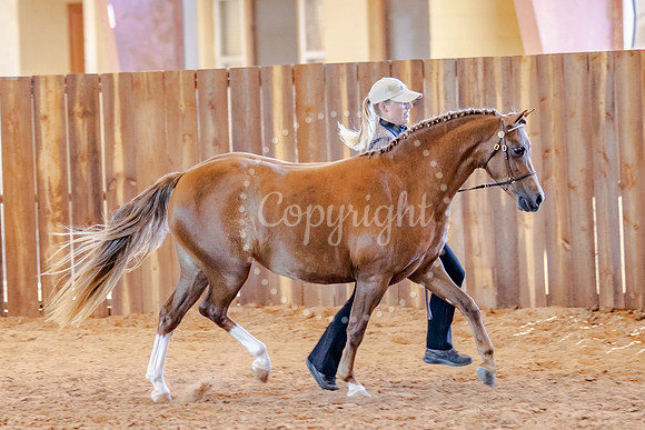 KB2_5474