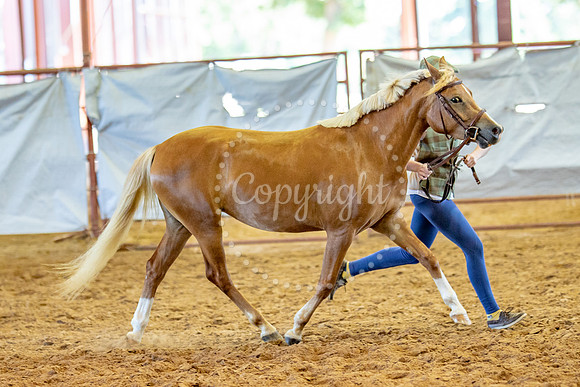KB2_5617