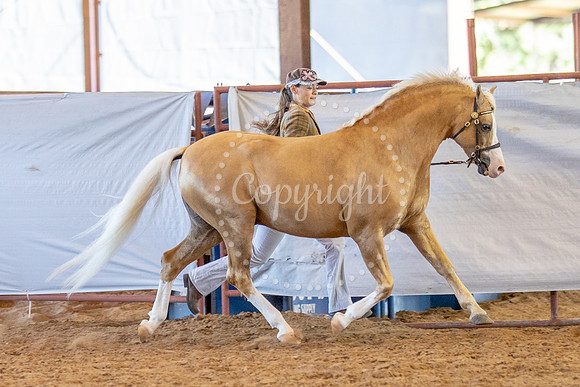 KB2_6127