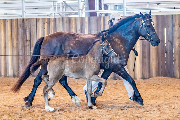 KB2_6394