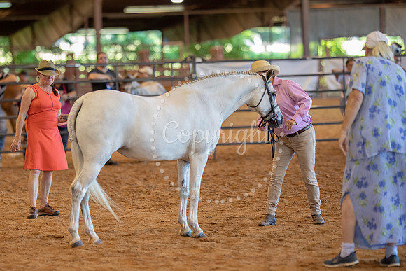 KB2_5991