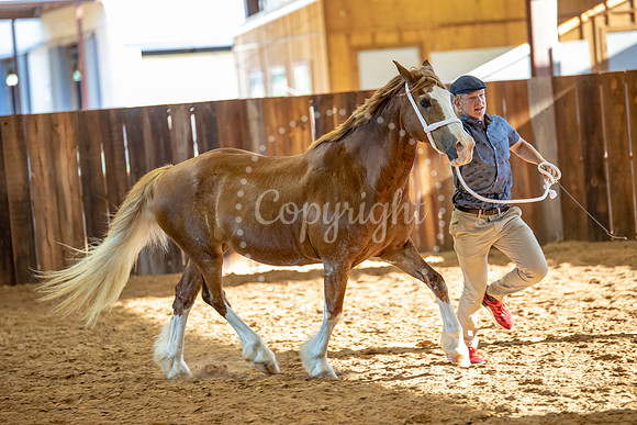 KB2_6525