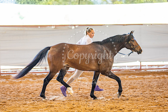KB2_5586