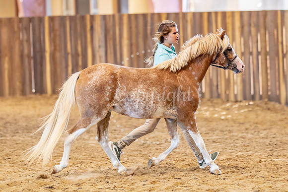 KB2_5416