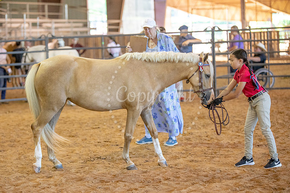 KB2_6799