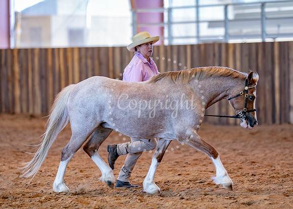 KB2_4996