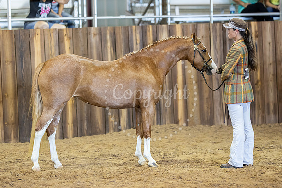 KB2_5712