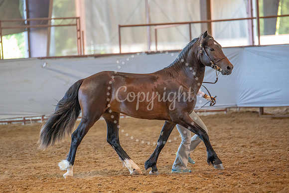 KB2_6584
