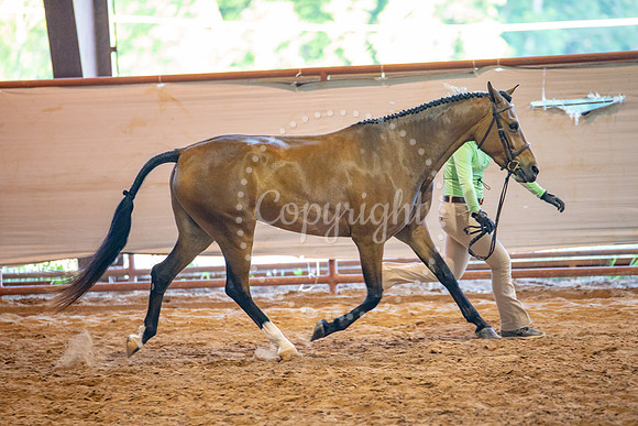 KB2_6778