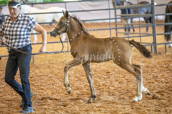 KB2_6456