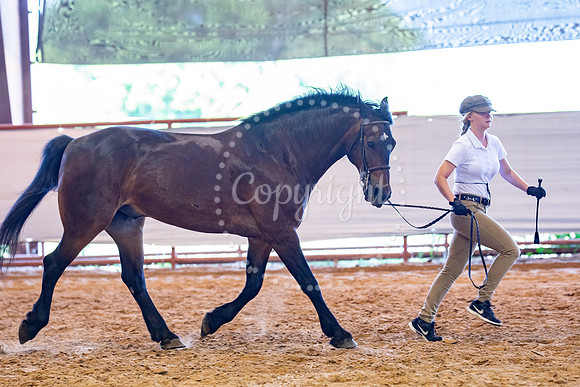 KB2_5271