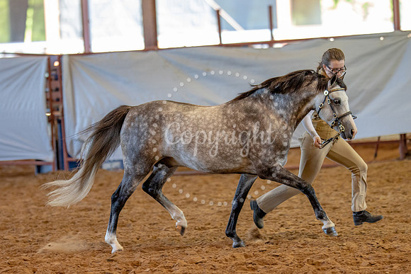 KB2_6243