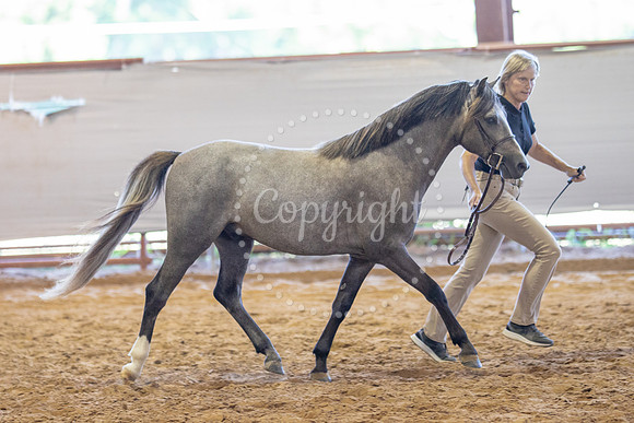KB2_6094