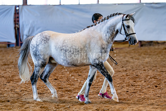 KB2_5142