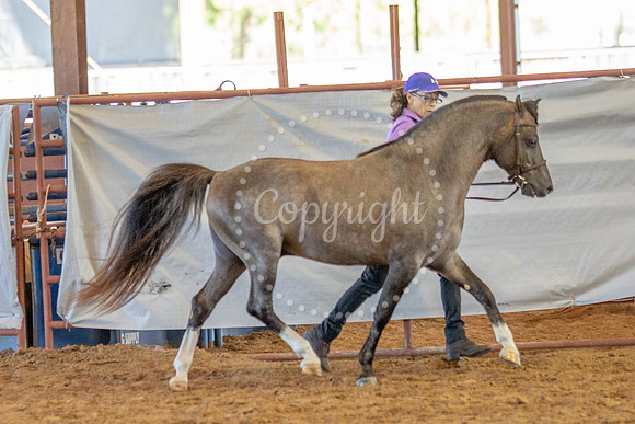KB2_6175