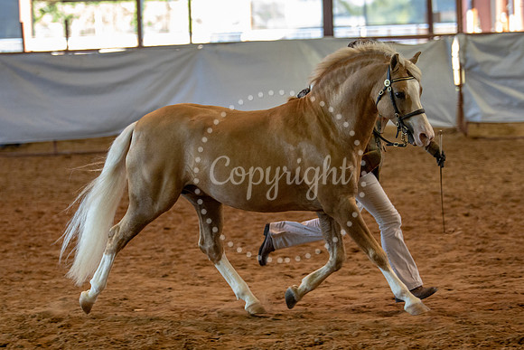 KB2_6659