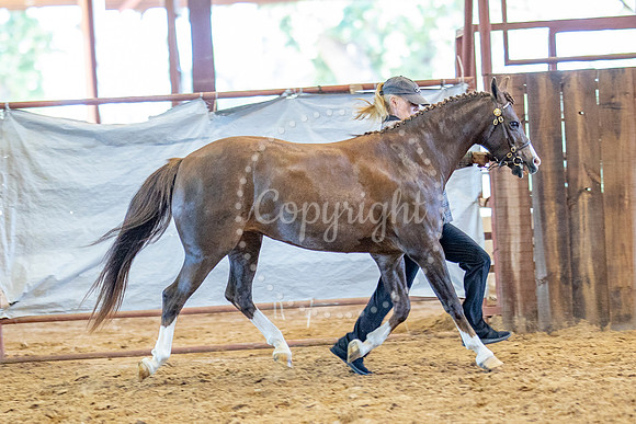 KB2_5670