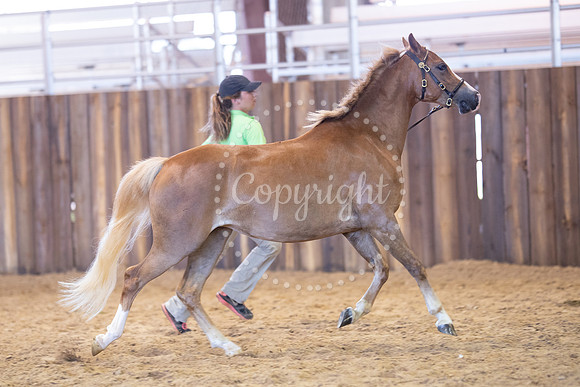 KB2_5547