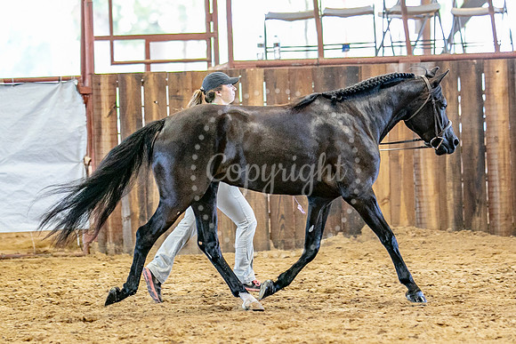 KB2_5221