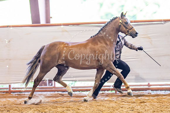 KB2_5674