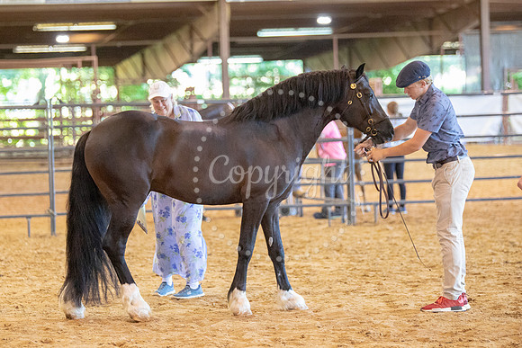 KB2_6619