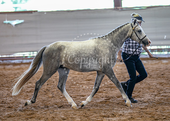 KB2_5046