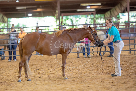 KB2_5918