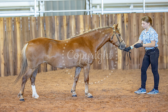 KB2_5360