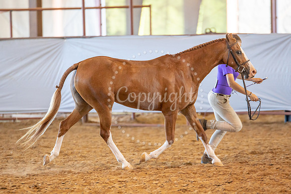 KB2_6705