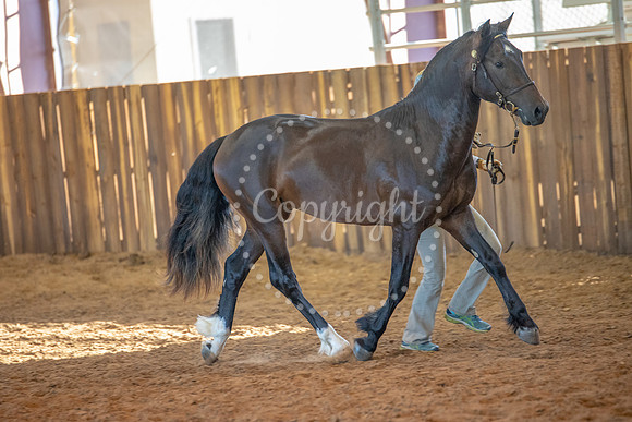 KB2_6575