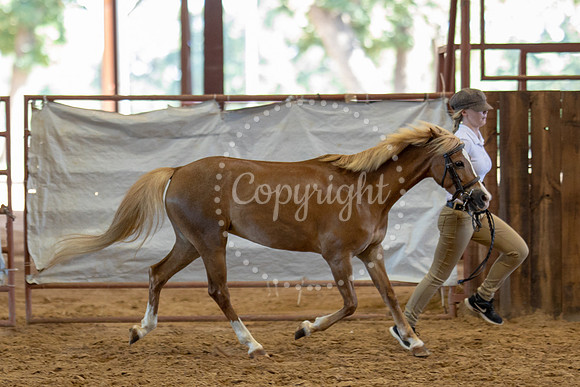 KB2_5958