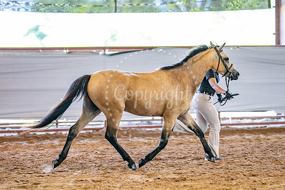 KB2_5147