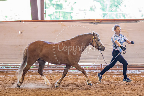 KB2_5323