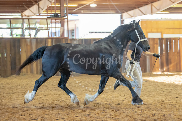 KB2_6417