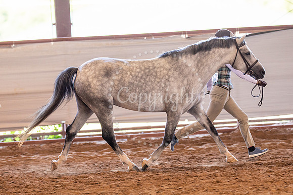 KB2_5941