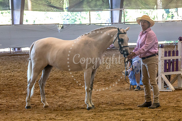 KB2_6679