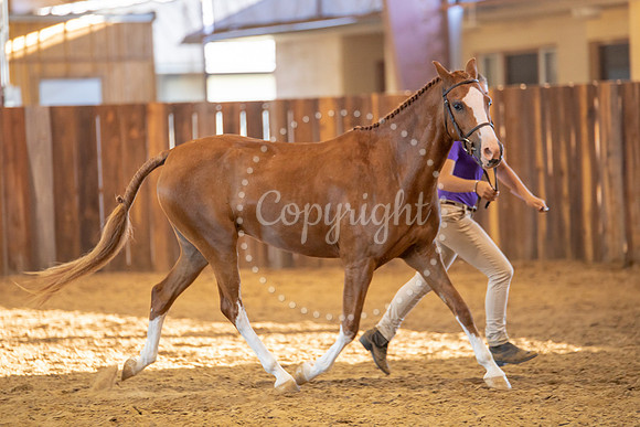 KB2_6720