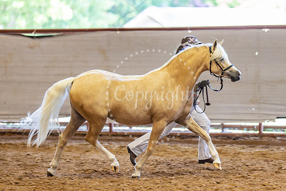 KB2_5369