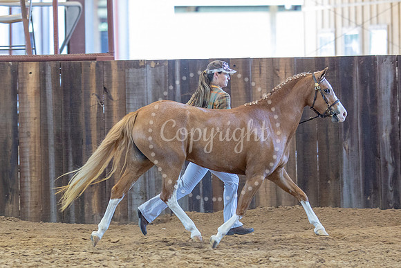 KB2_5632