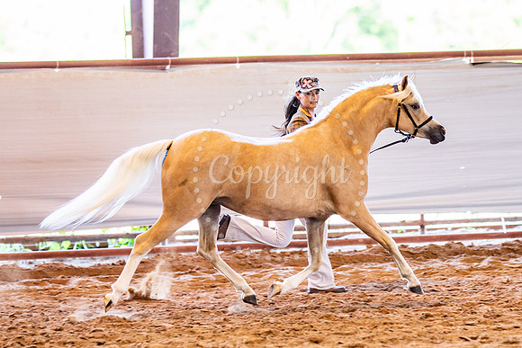 KB2_5376