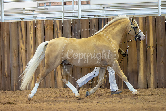 KB2_6139