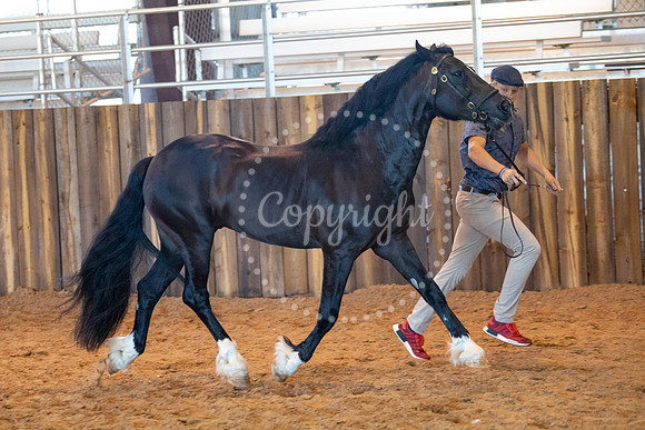 KB2_6633