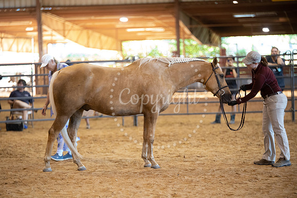 KB2_6986