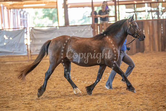 KB2_6547